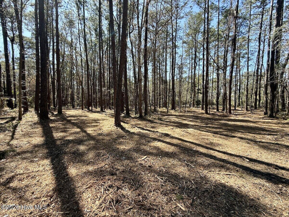 1 Creek Place Road Arapahoe, NC 28510 - Photo 11 of 28 11