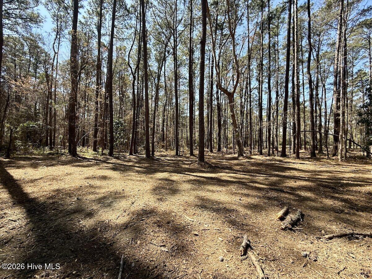 1 Creek Place Road Arapahoe, NC 28510 - Photo 13 of 28 13