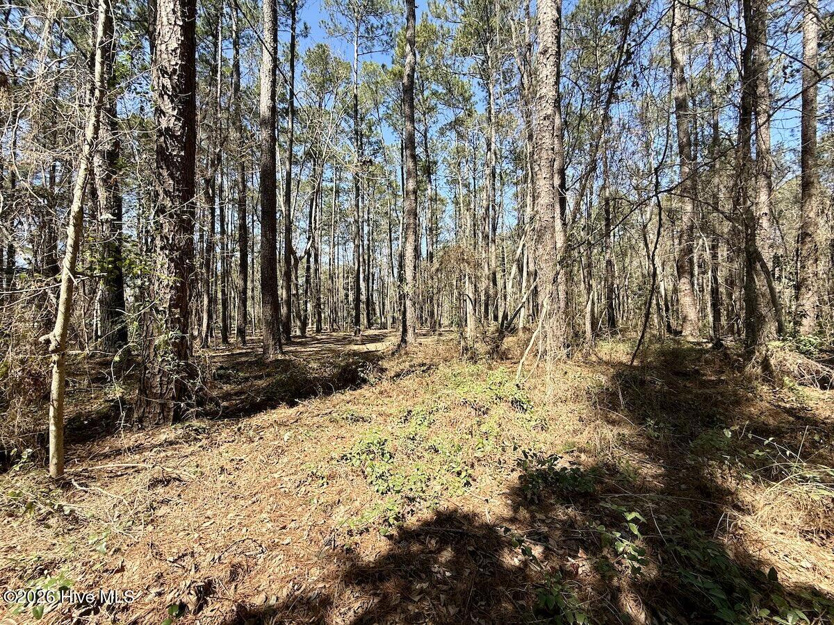 1 Creek Place Road Arapahoe, NC 28510 - Photo 14 of 28 14