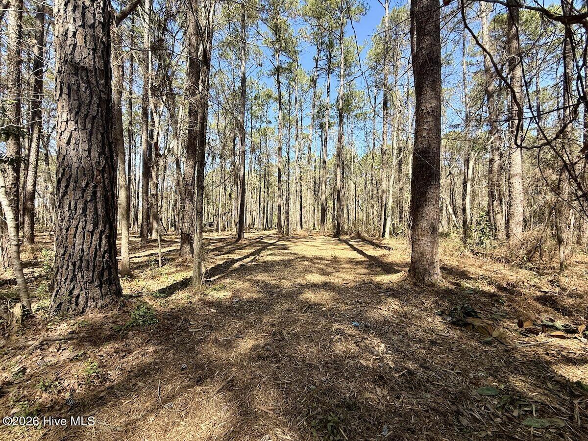1 Creek Place Road Arapahoe, NC 28510 - Photo 15 of 28 15