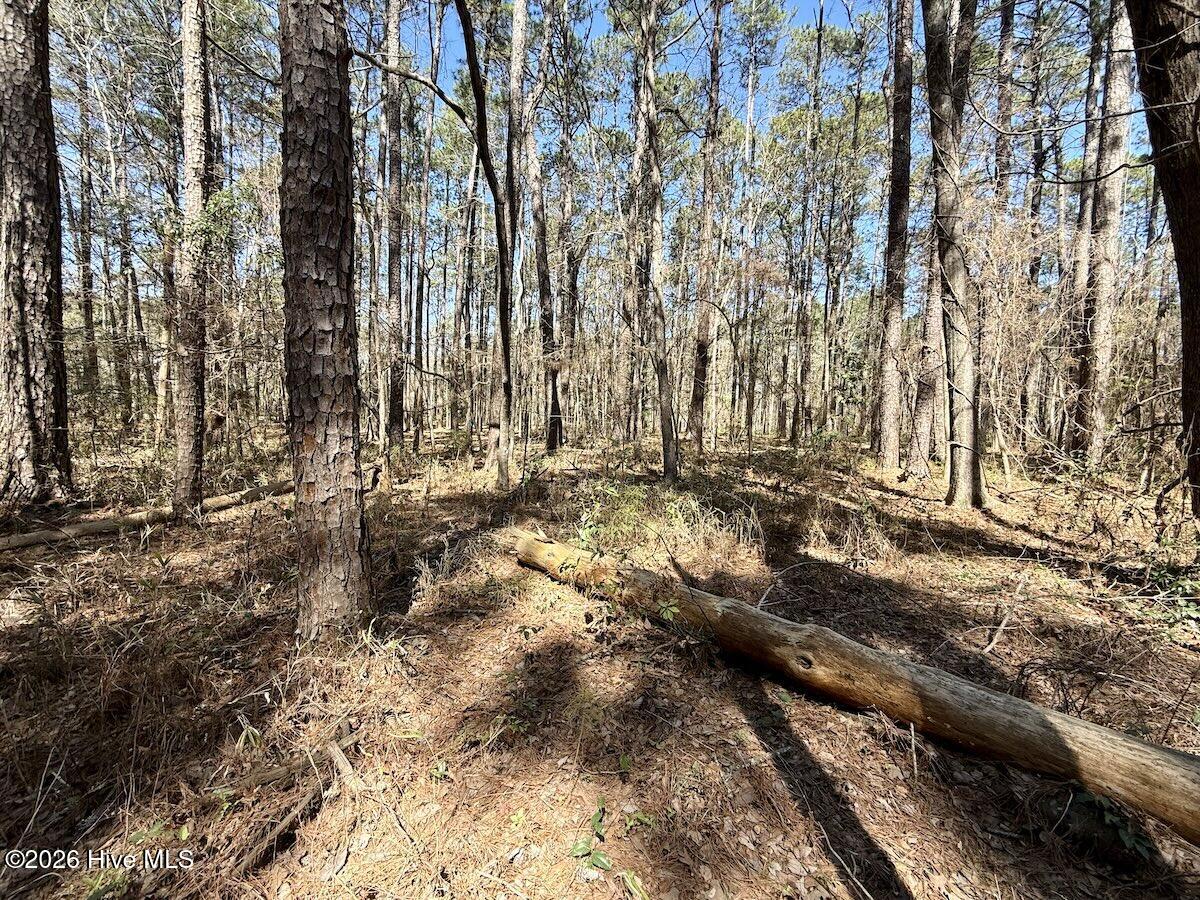 1 Creek Place Road Arapahoe, NC 28510 - Photo 16 of 28 16