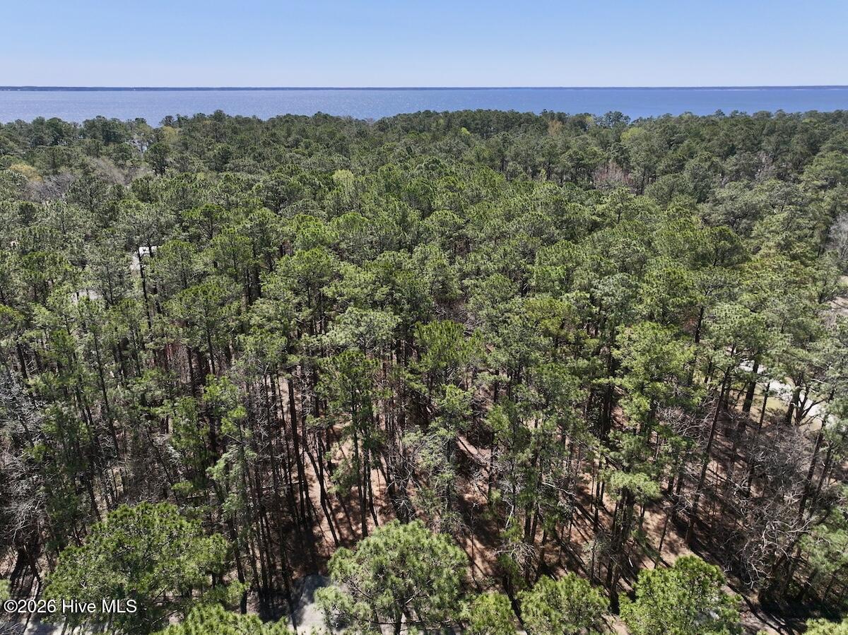 1 Creek Place Road Arapahoe, NC 28510 - Photo 2 of 28 2