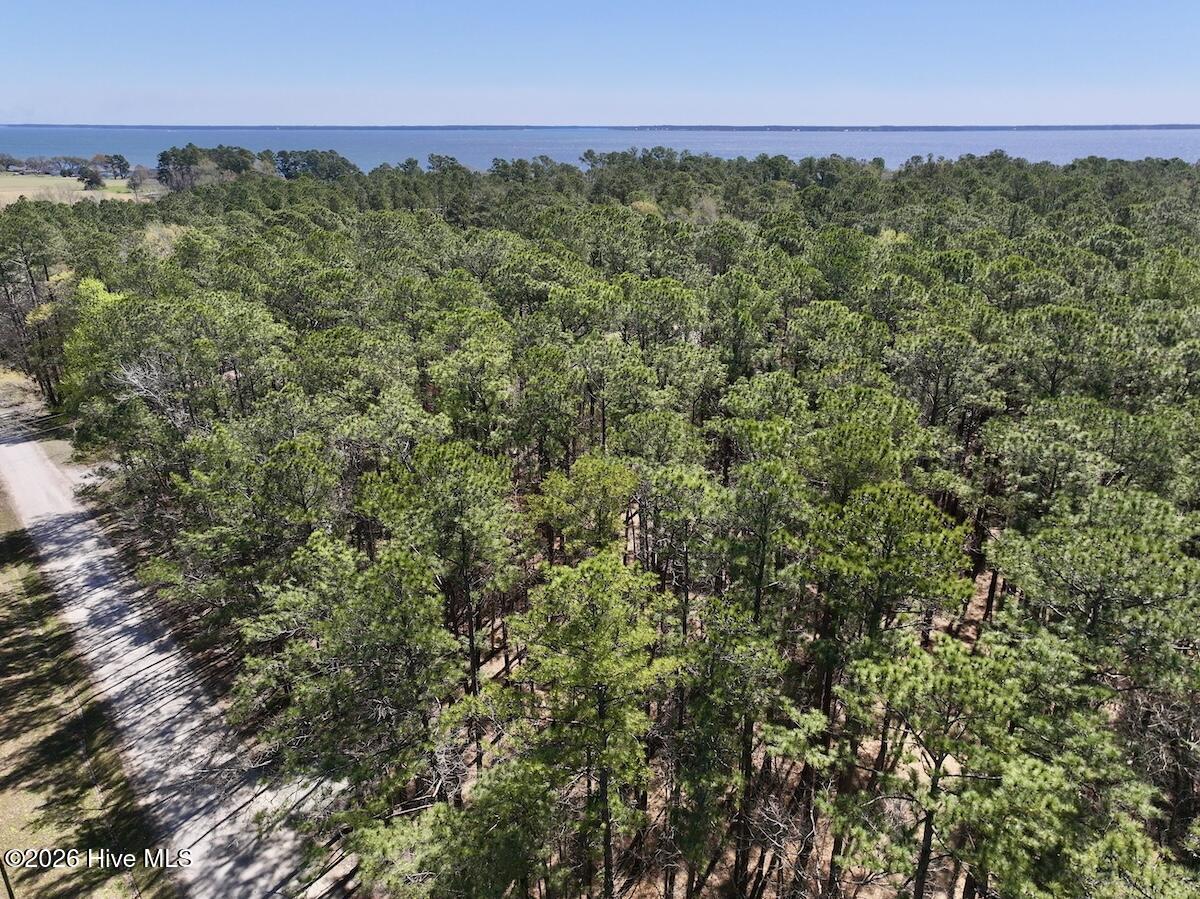 1 Creek Place Road Arapahoe, NC 28510 - Photo 3 of 28 3