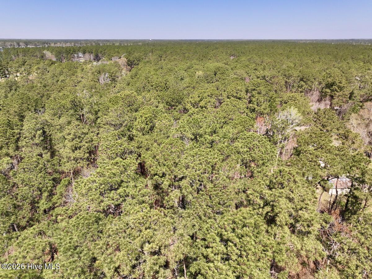 1 Creek Place Road Arapahoe, NC 28510 - Photo 4 of 28 4