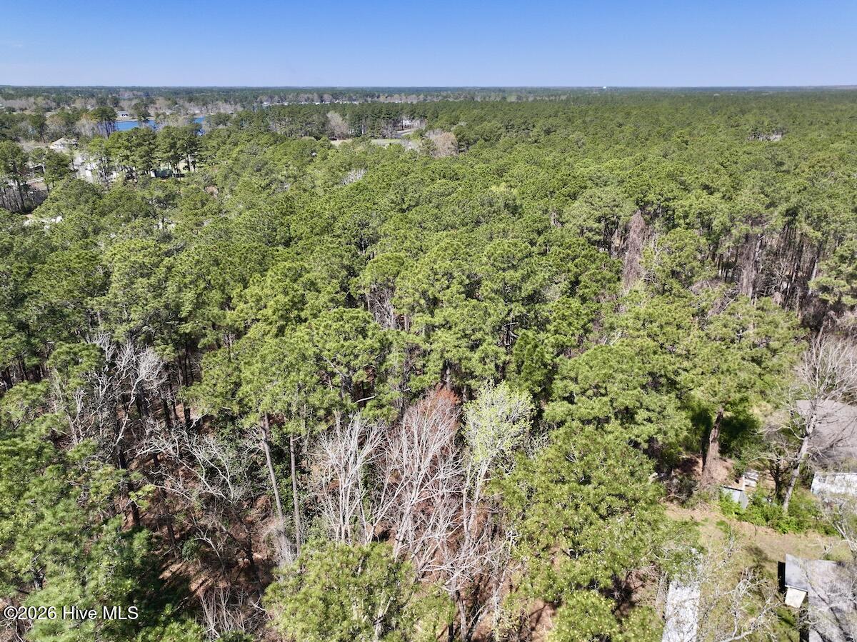 1 Creek Place Road Arapahoe, NC 28510 - Photo 5 of 28 5