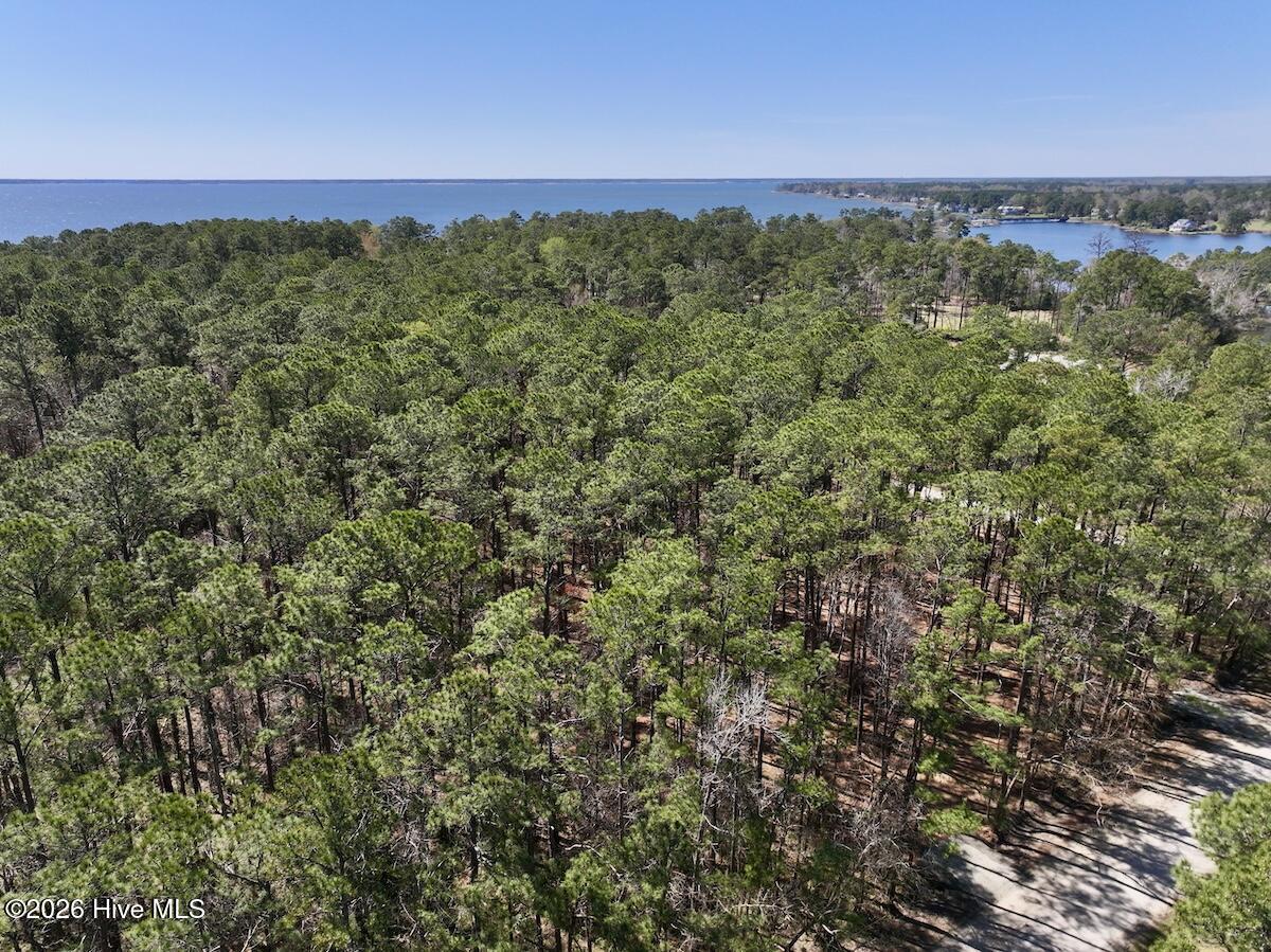 1 Creek Place Road Arapahoe, NC 28510 - Photo 6 of 28 6