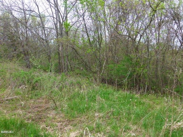 Tbd Dean Road Savanna, IL 61074 - Photo 3 of 11 Gallery Image 3