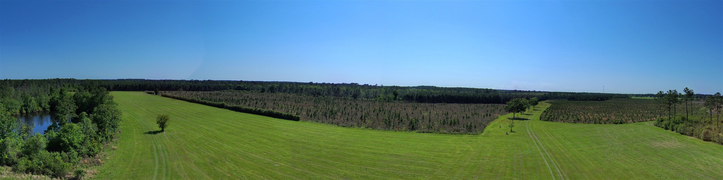 87 County Road 87 Elberta, AL 36530 - Photo 10 of 66