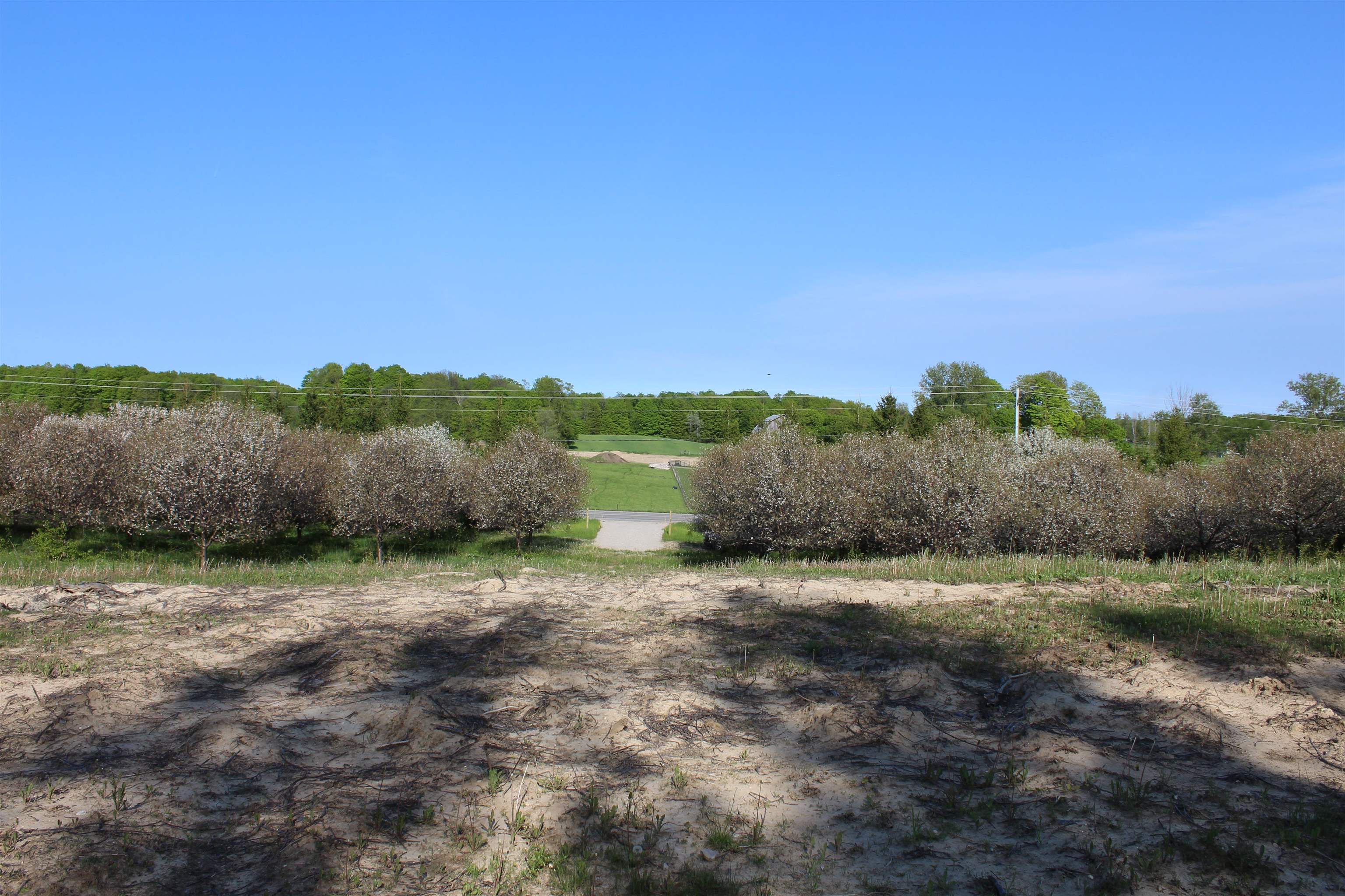 87 North Three Mile Road Traverse City, MI 49696 - Photo 10 of 10