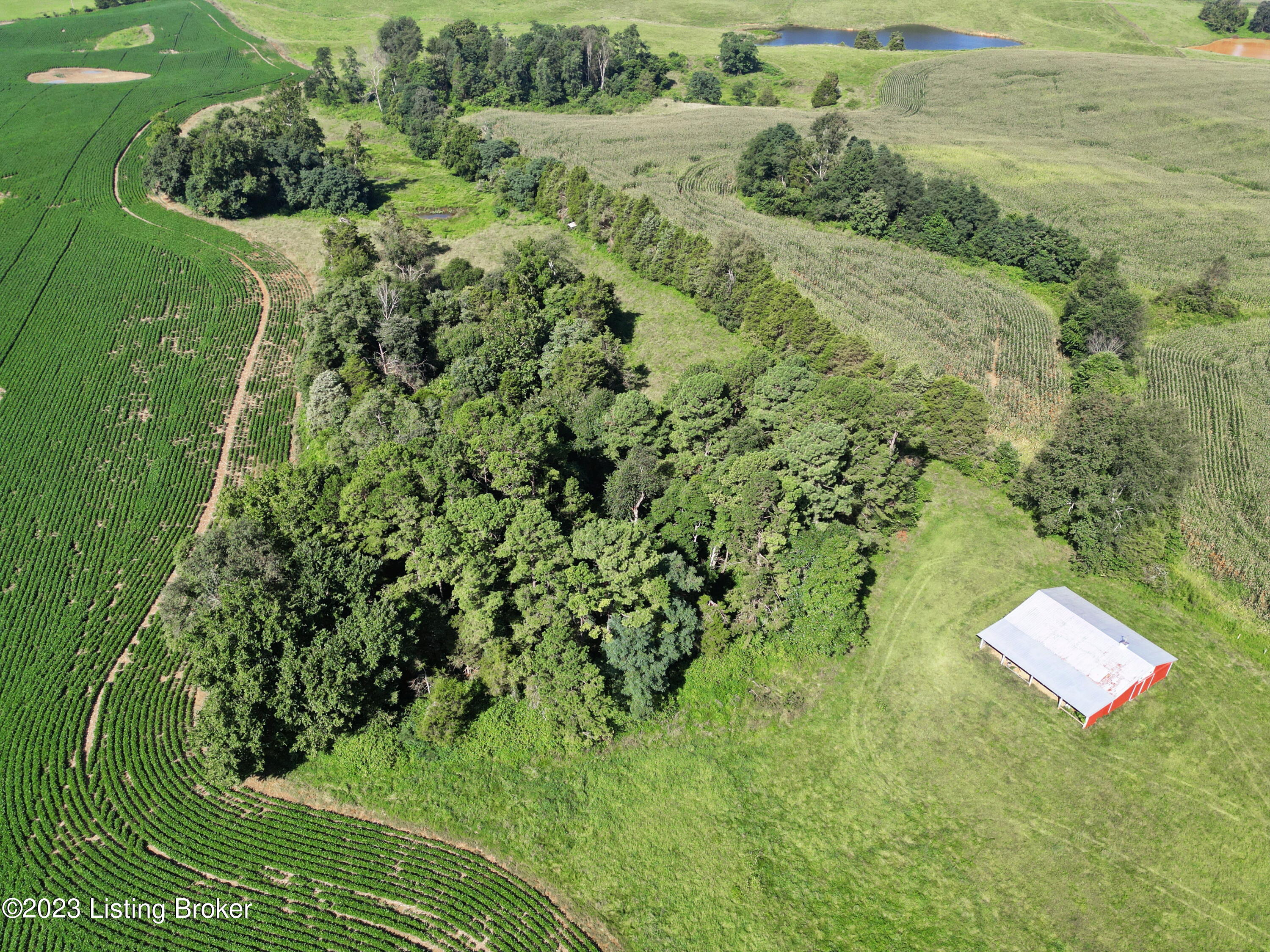 381 McIntyre Road Vine Grove, KY 40175 - Photo 21 of 27 DJI_0451
