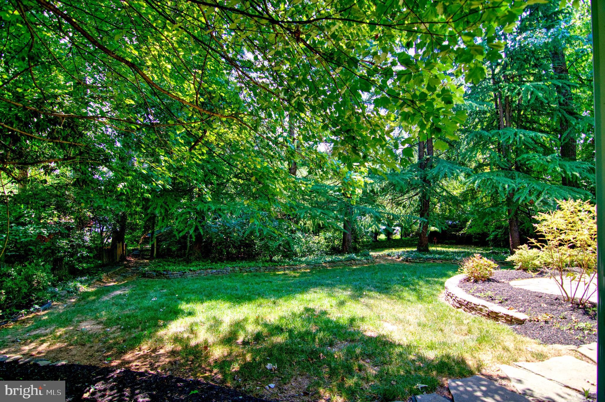 9913 Colony Road Fairfax, VA 22030 - Photo 4 of 33 Gallery Image 4