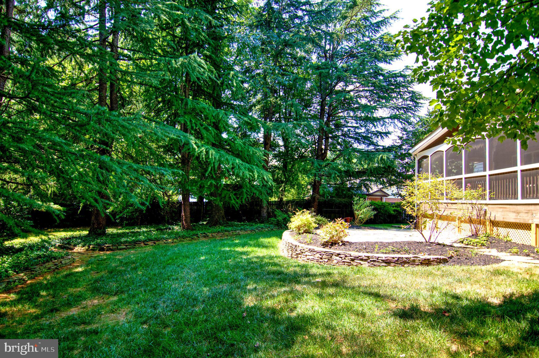 9913 Colony Road Fairfax, VA 22030 - Photo 6 of 33 Gallery Image 6