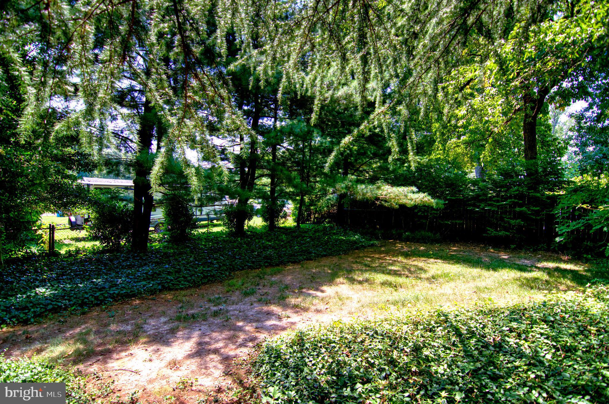 9913 Colony Road Fairfax, VA 22030 - Photo 9 of 33 Gallery Image 9