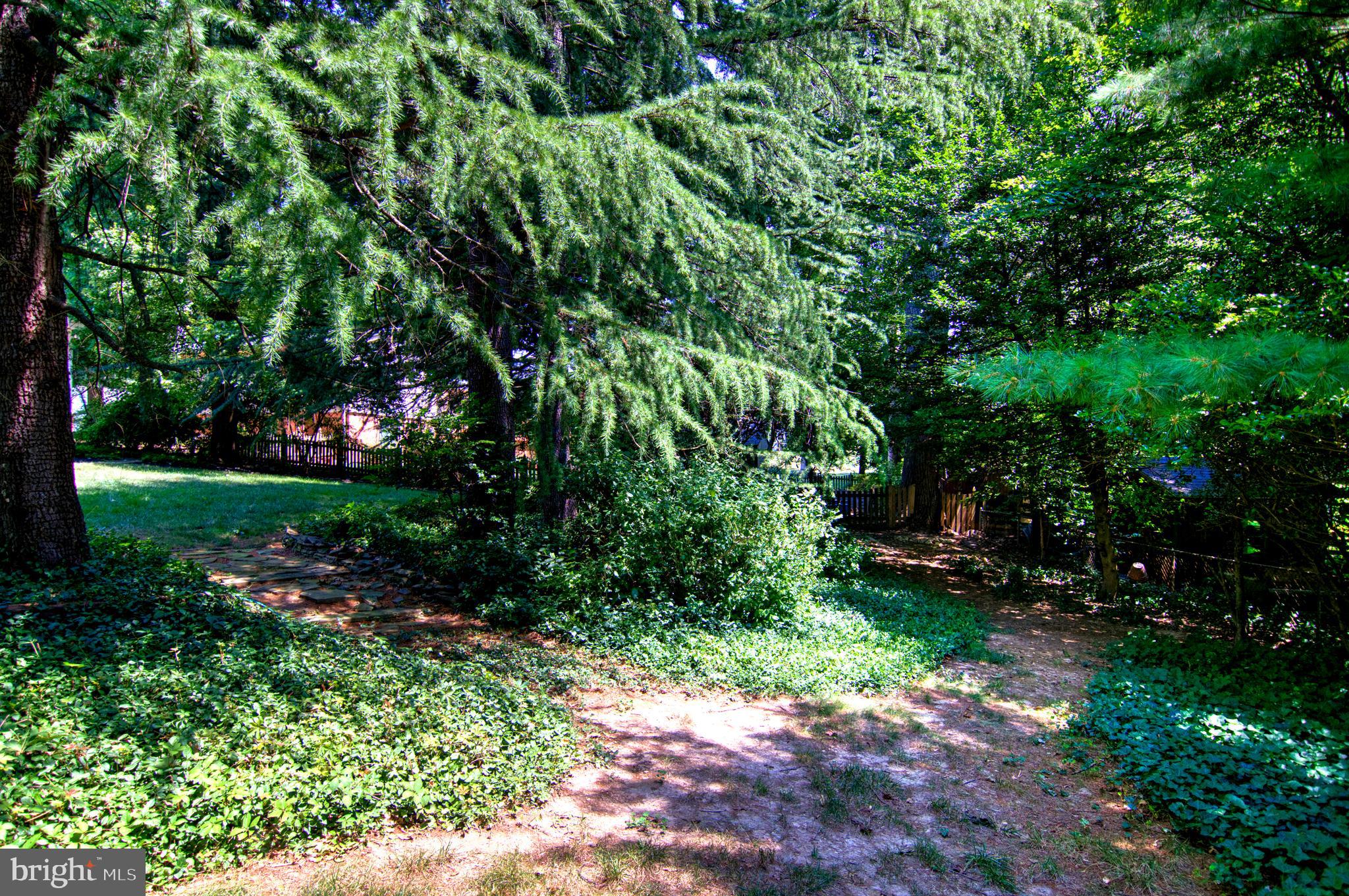 9913 Colony Road Fairfax, VA 22030 - Photo 10 of 33 Gallery Image 10