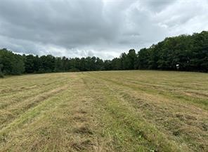 10053 Browntown Road Lindley, NY 14858 - Photo 1 of 13