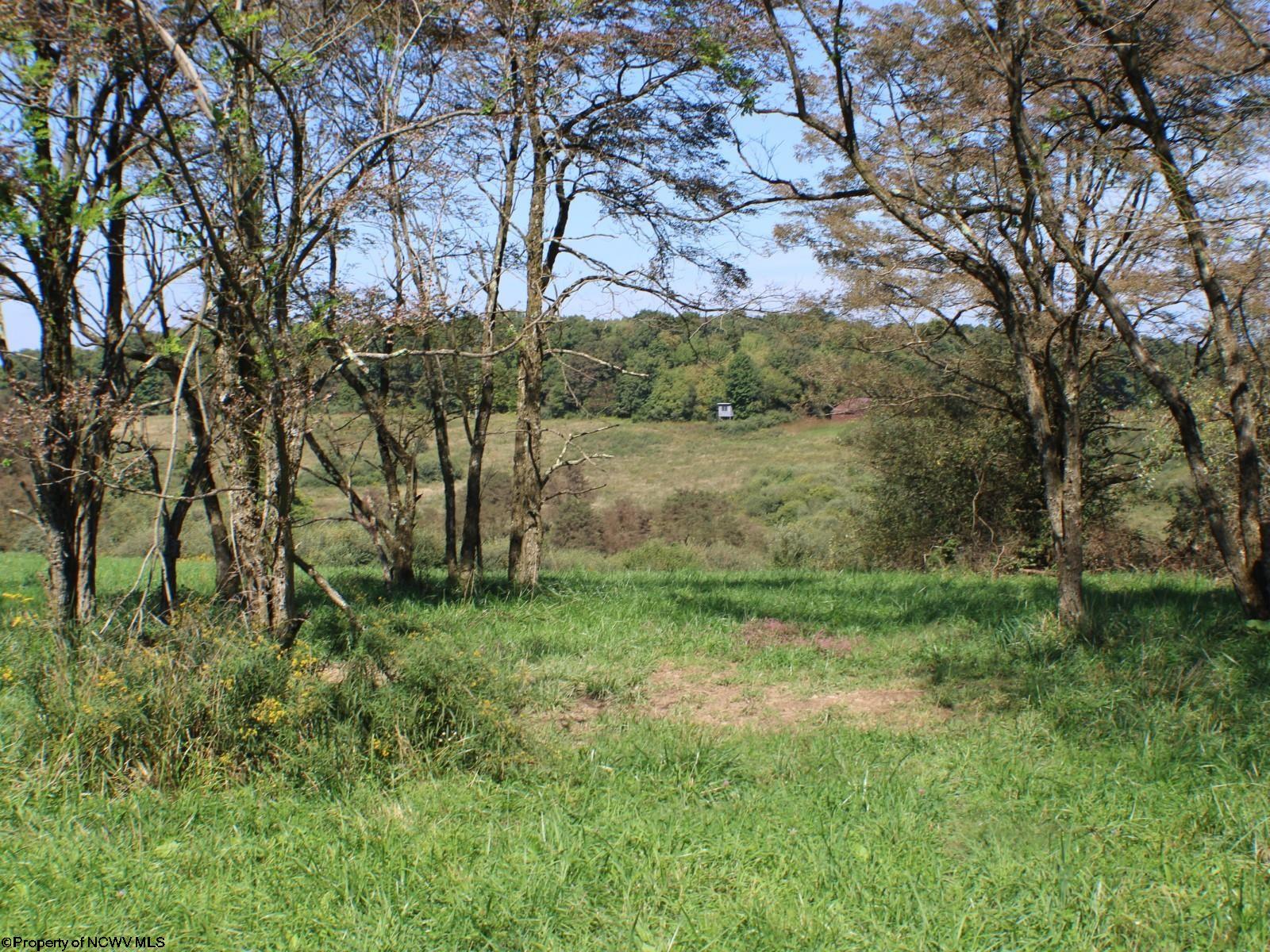 46.959-acres Beech Run Road Albright, WV 26519 - Photo 18 of 29 Gallery Image 18