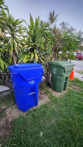 a view of a plant in a garden