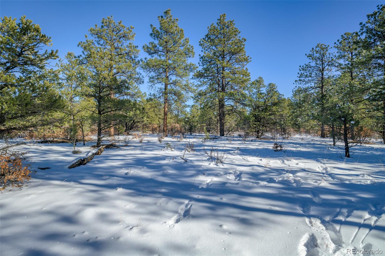 Escondido Road Weston, CO 81091 - Photo 1 of 42