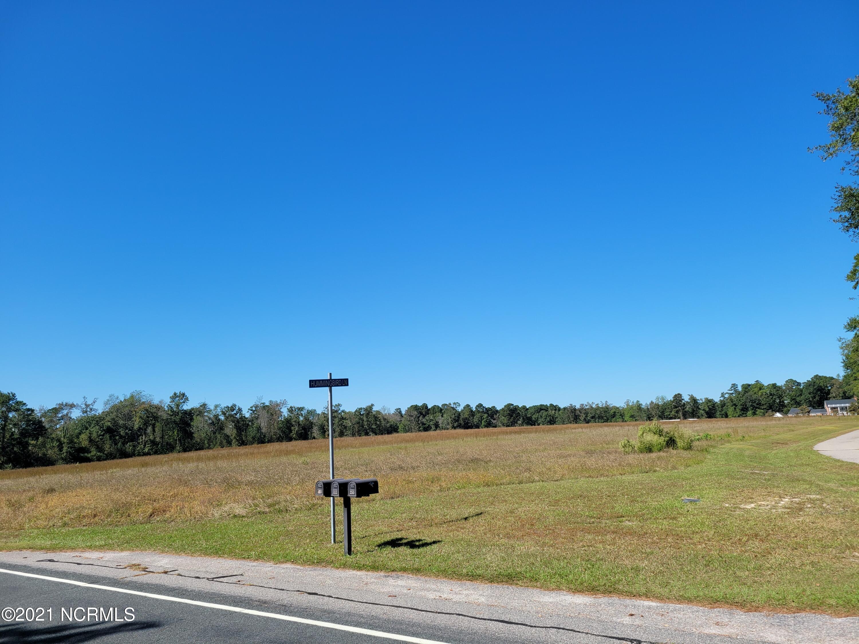 255 Lisbon Road Council, NC 28434 - Photo 1 of 39 20211017_140741