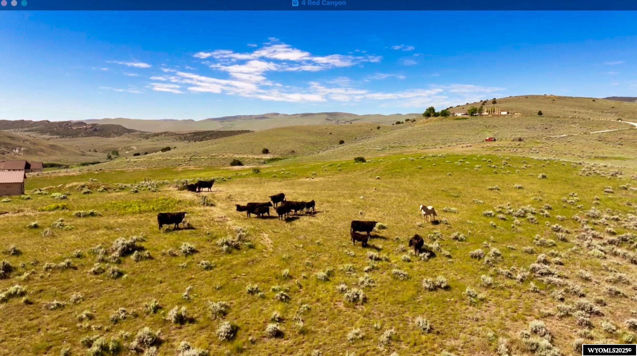 4 Red Canyon Road Lander, WY 82520 - Photo 13 of 32