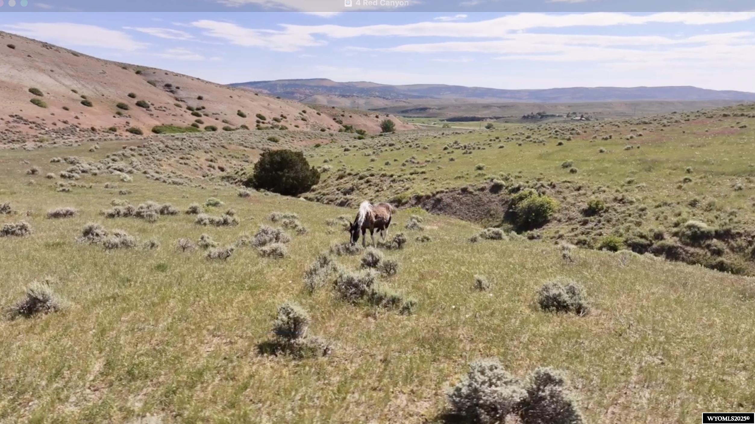 4 Red Canyon Road Lander, WY 82520 - Photo 5 of 32