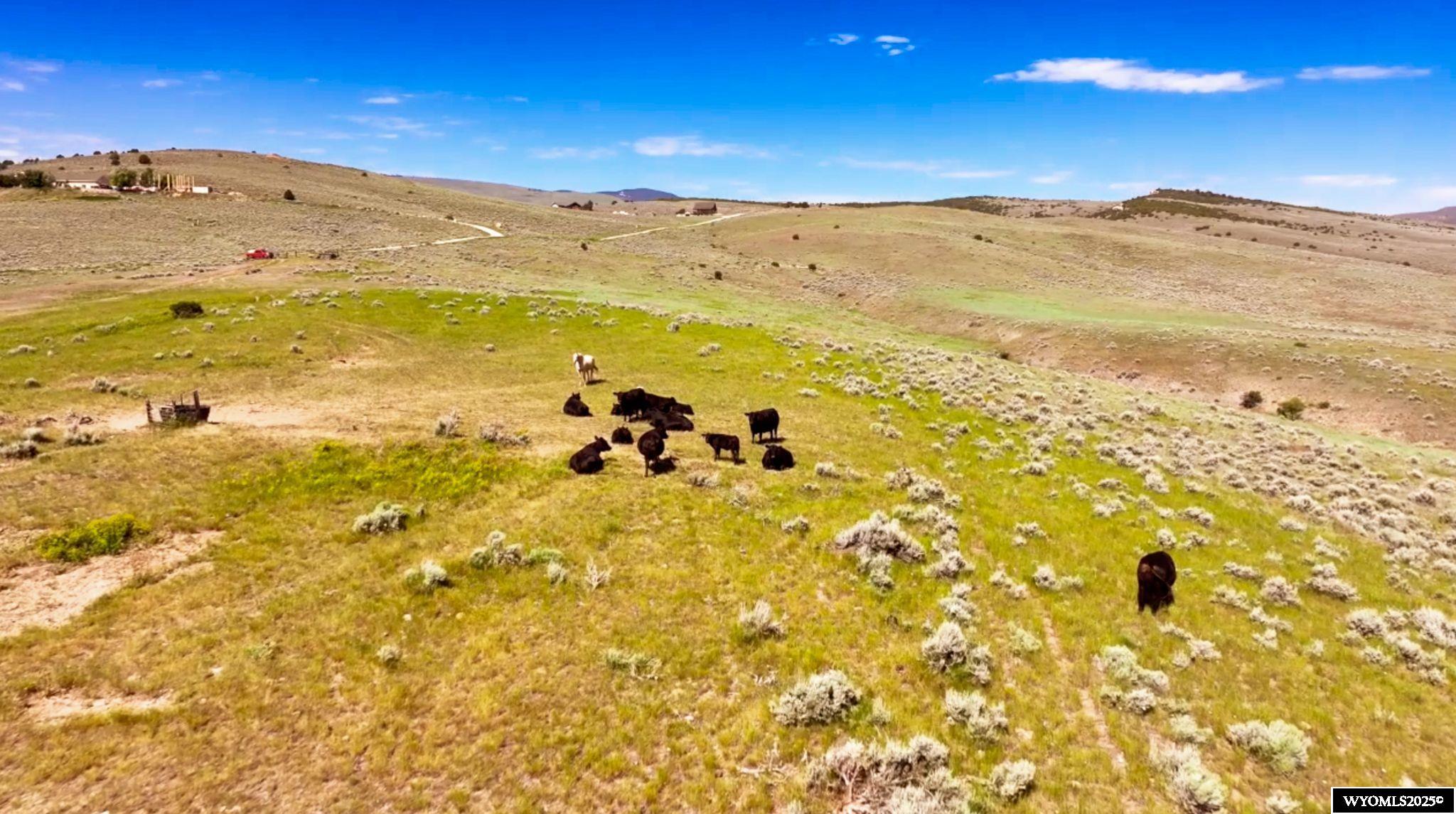 4 Red Canyon Road Lander, WY 82520 - Photo 10 of 32