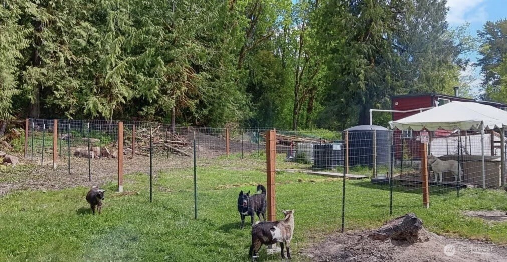 47367 State Rte 20 Concrete, WA 98237 - Photo 5 of 15 a view of a house with backyard and a fence