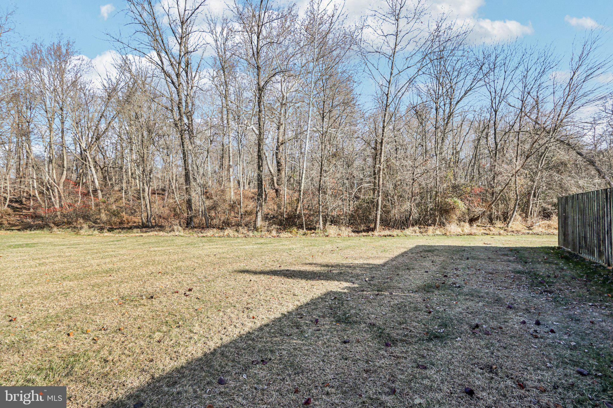 18 Jacob Court Trenton, NJ 08628 - Photo 42 of 43 a view of dirt yard with a large tree