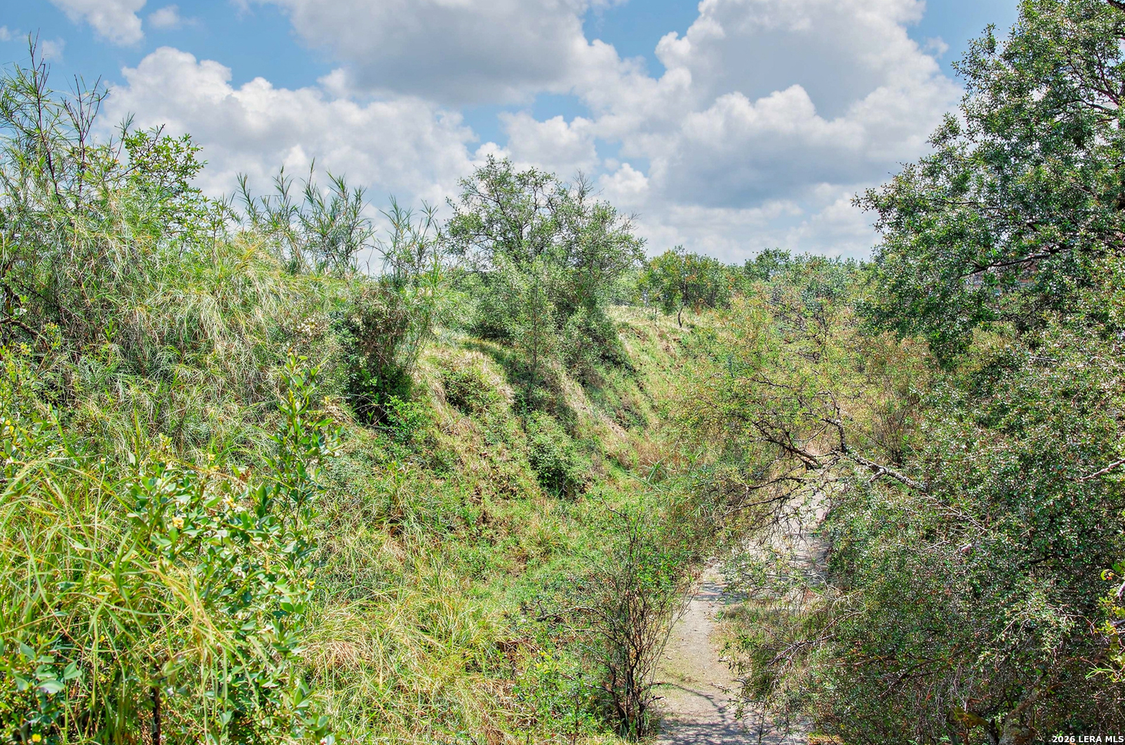 Mile3 Nittler Road Monte Alto, TX 78538 - Photo 11 of 14