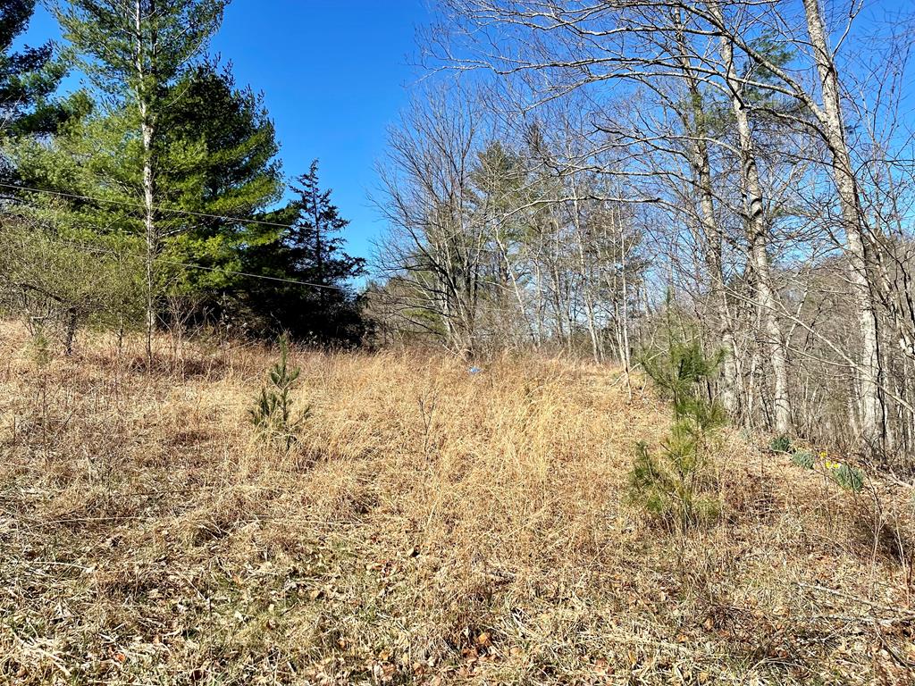154 Buffalo Road, Unit 11 Dugspur, VA 24325 - Photo 12 of 13 Gallery Image 12