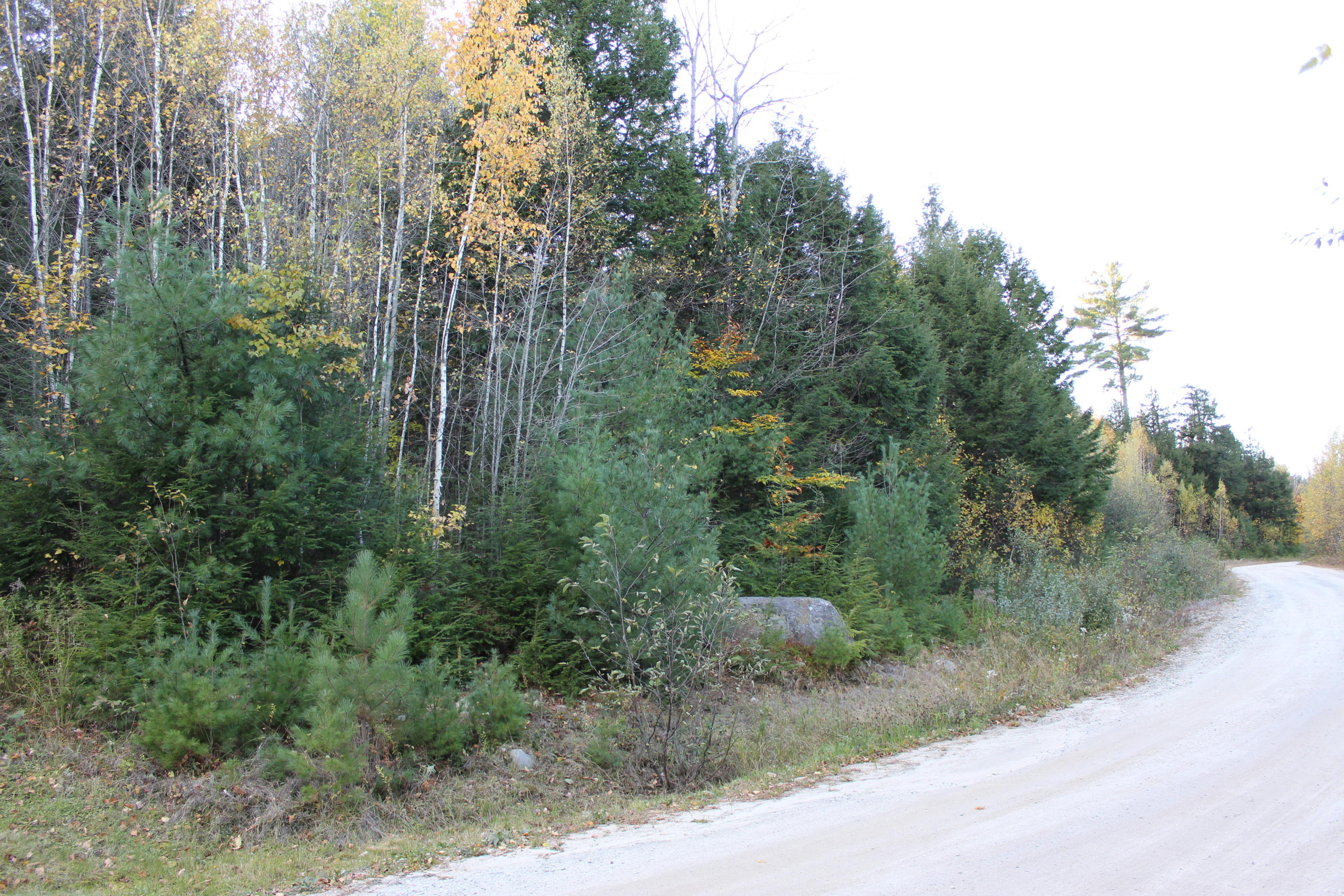 Tbd Ridge Road Bethel, ME 04217 - Photo 3 of 7 IMG_0376