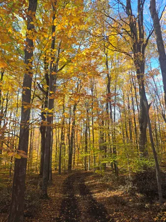 $43,000 | 0 Stark Road, Unit LOT: 17, Mancelona, MI 49659