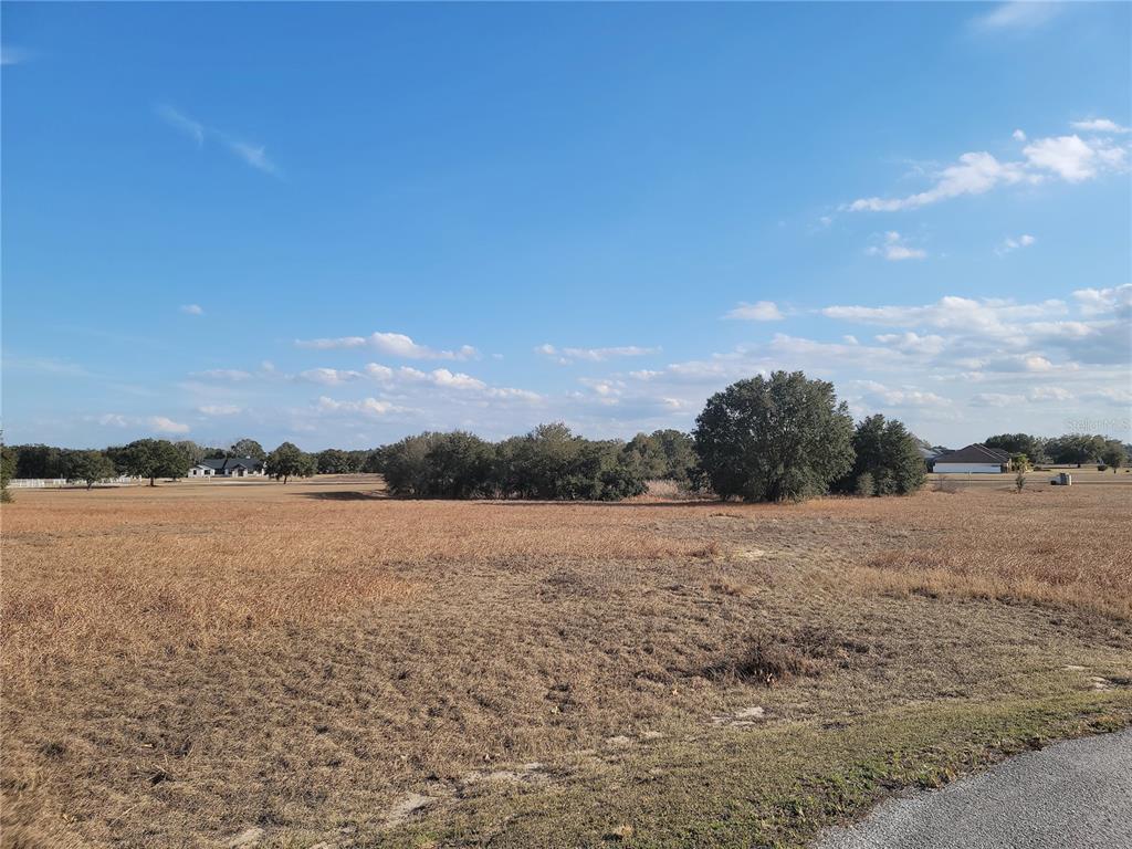 6 Eagle Run Groveland, FL 34736 - Photo 13 of 18 a view of lake
