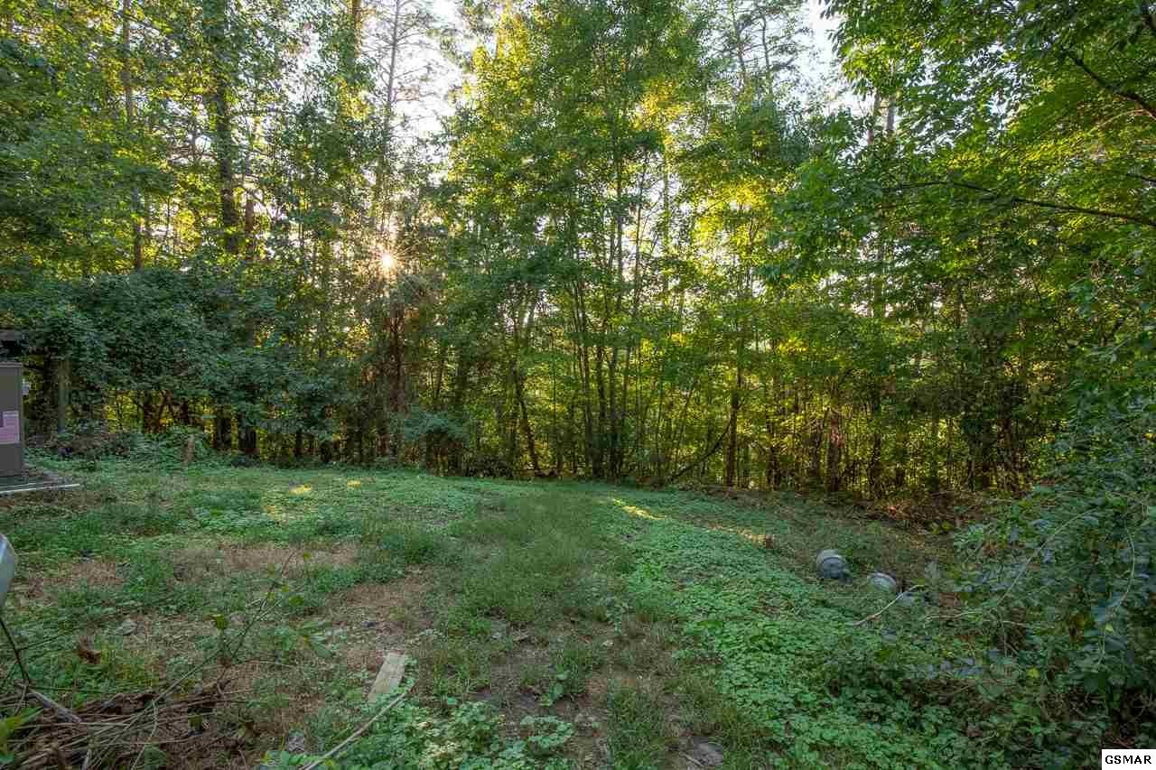 2219222 Goose Gap Road Sevierville, TN 37876 - Photo 9 of 12