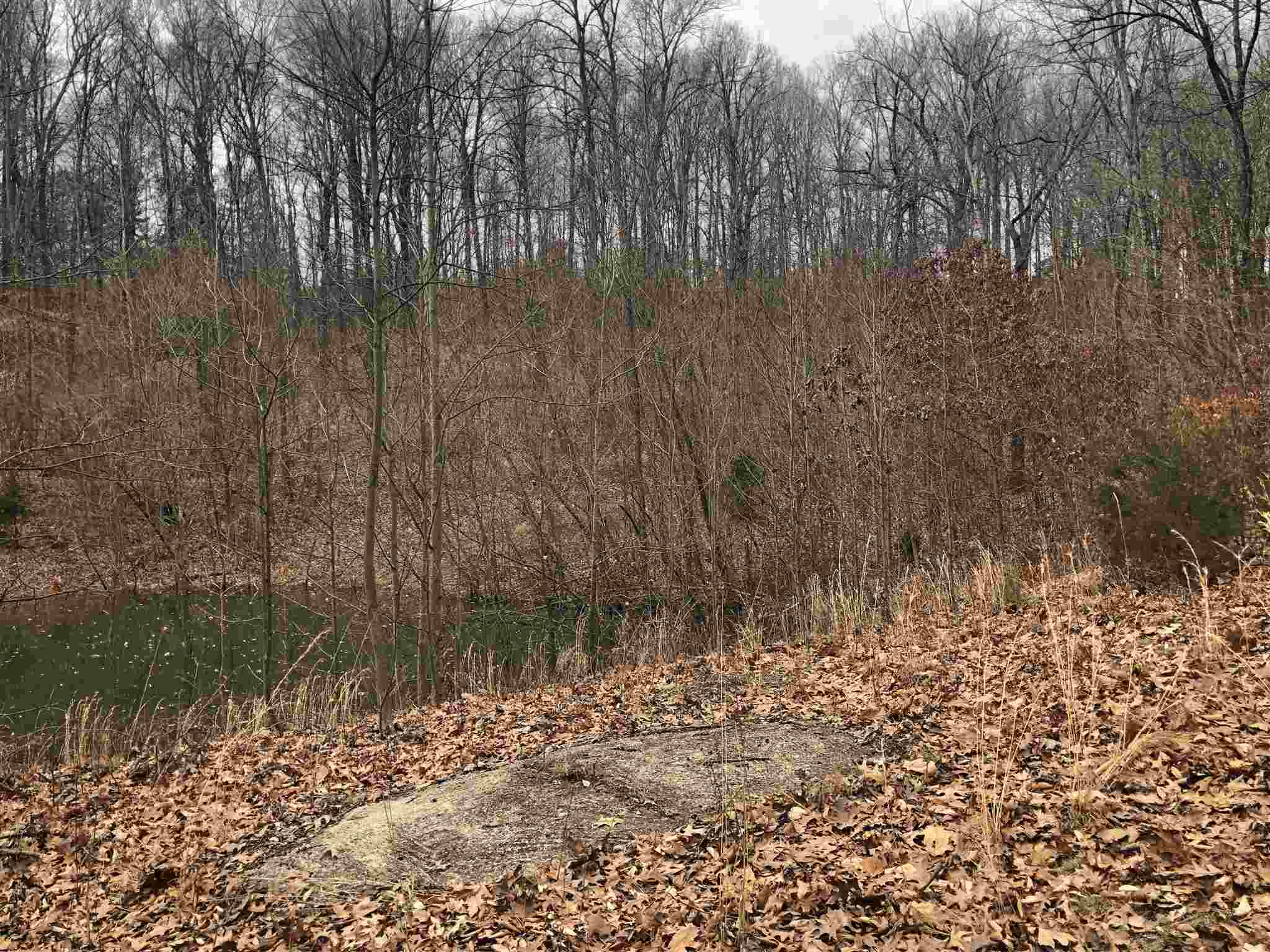 6.63-acres Franklin Road Spencer, IN 47460 - Photo 1 of 3 Gallery Image 1