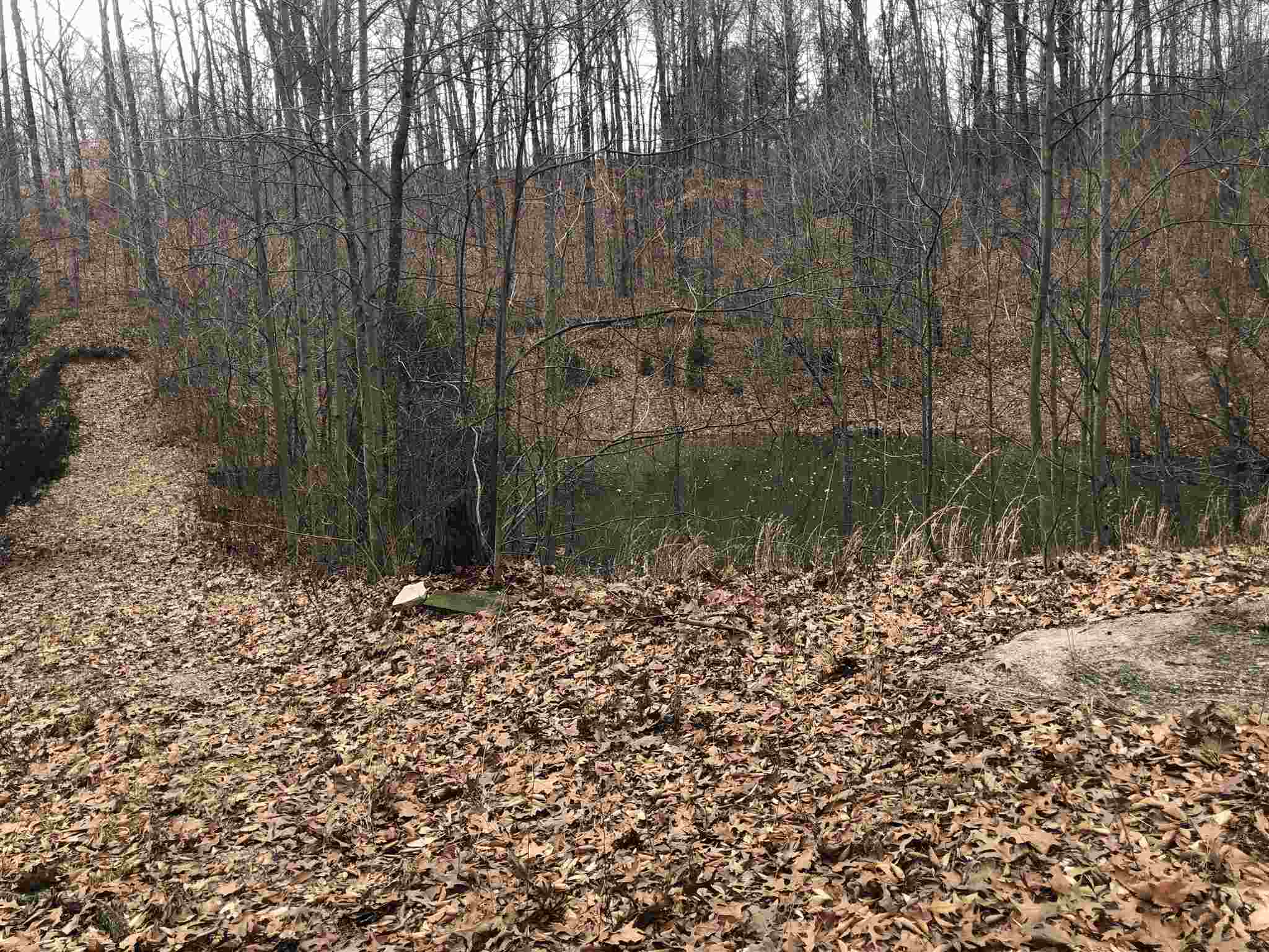 6.63-acres Franklin Road Spencer, IN 47460 - Photo 2 of 3 Gallery Image 2