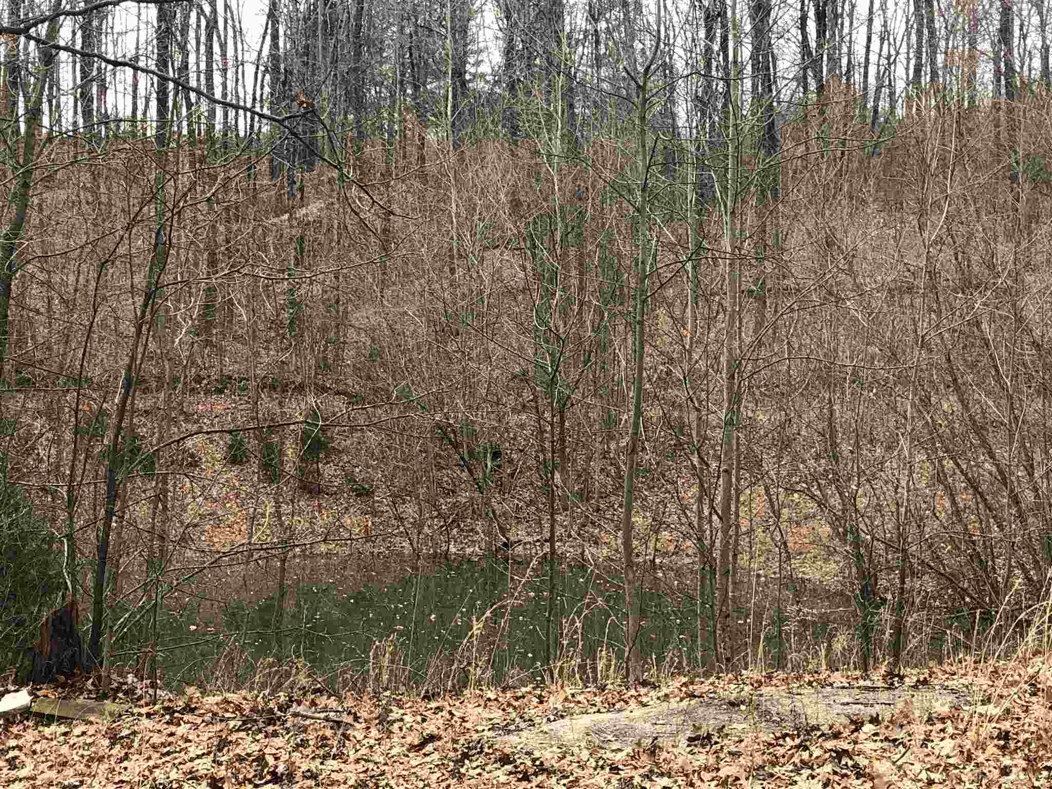 6.63-acres Franklin Road Spencer, IN 47460 - Photo 3 of 3 Gallery Image 3