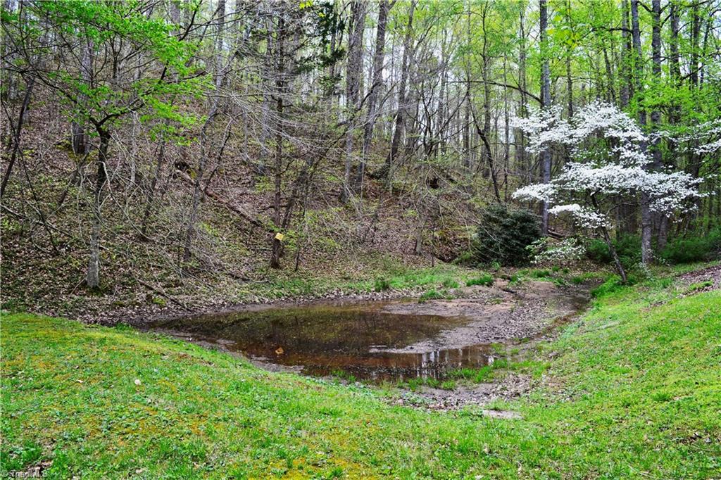 2700 Griffin Road Rural Hall, NC 27045 - Photo 24 of 30 Naturally filling pond