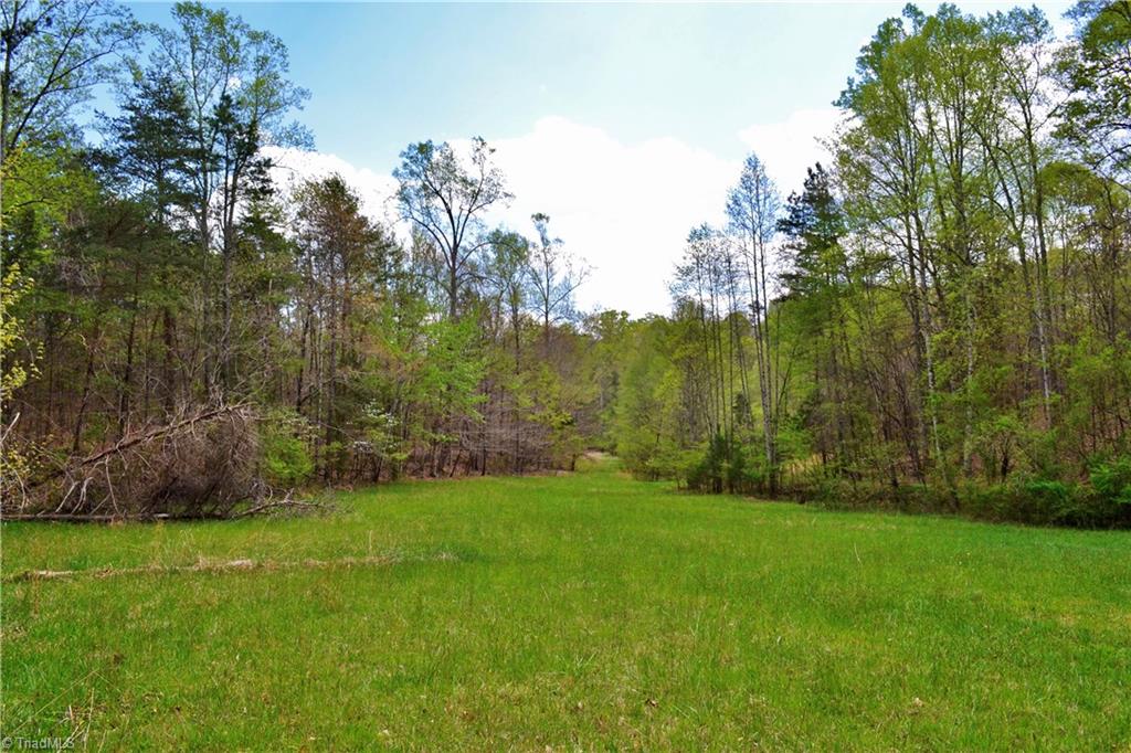 2700 Griffin Road Rural Hall, NC 27045 - Photo 25 of 30 Field
