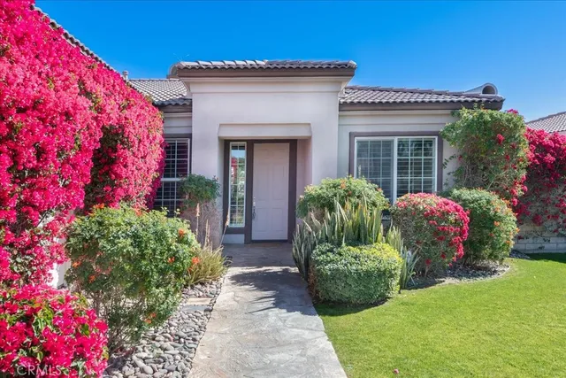 a view of a house with potted plants