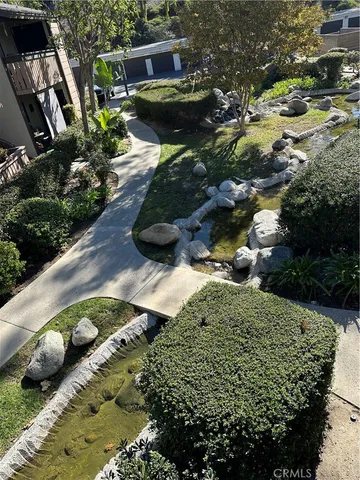a view of a garden with plants