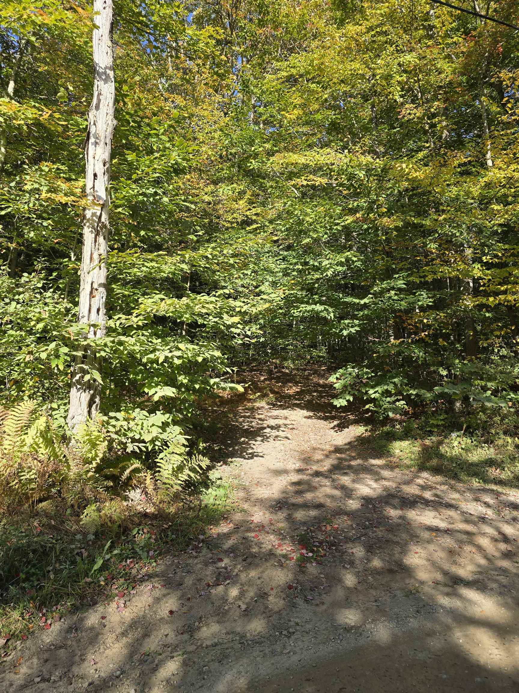 0 Klondike Road, Unit LOT 2 Stamford, VT 05352 - Photo 5 of 7 Gallery Image 5