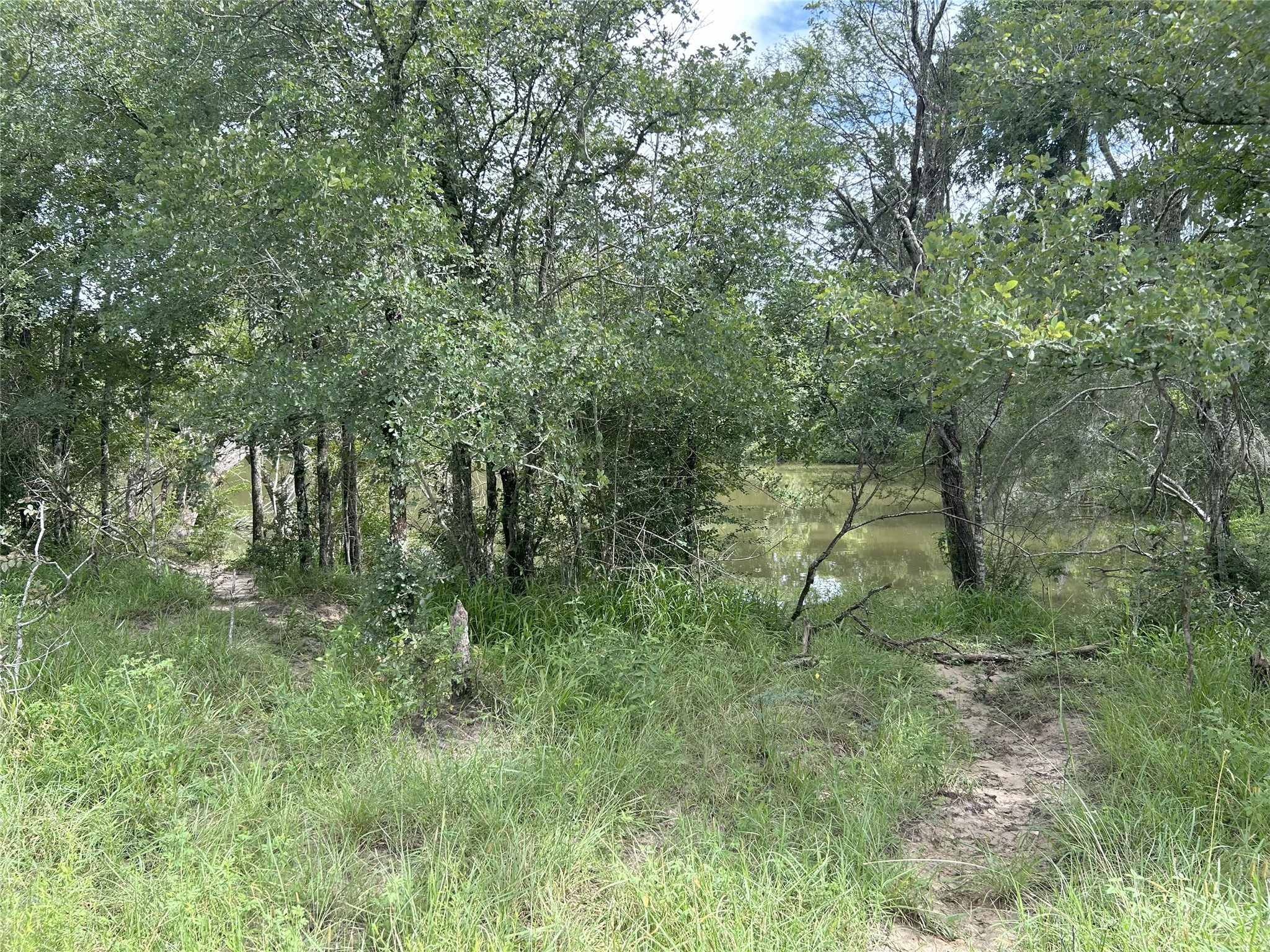 Tbd Holik Road Hempstead, TX 77445 - Photo 37 of 50