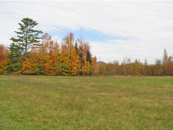 Lot 2 Whitcomb Island Road Johnson, VT 05656 - Photo 3 of 5