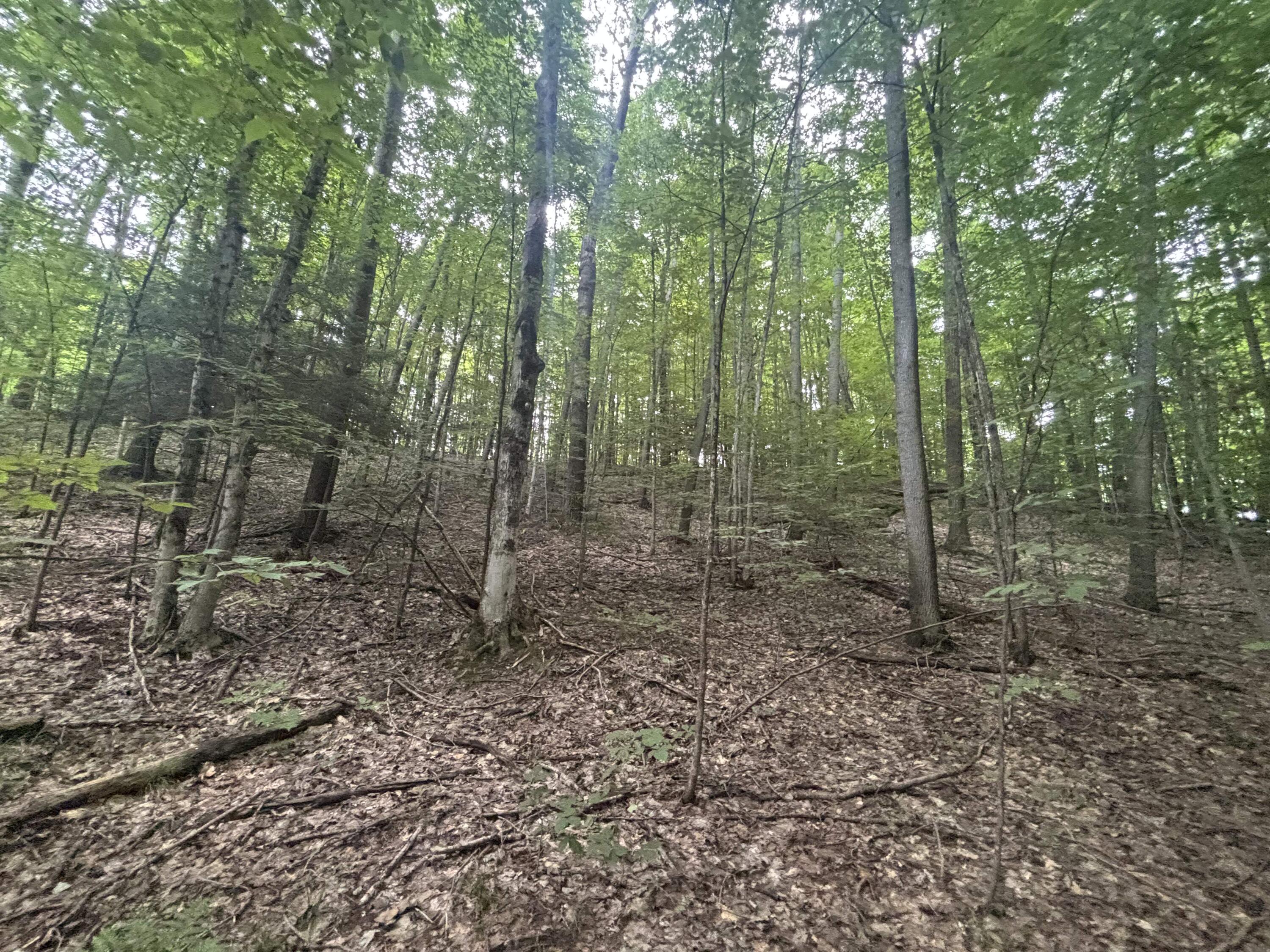 E20 A Lambdin Road East Jordan, MI 49727 - Photo 25 of 31 IMG_4578