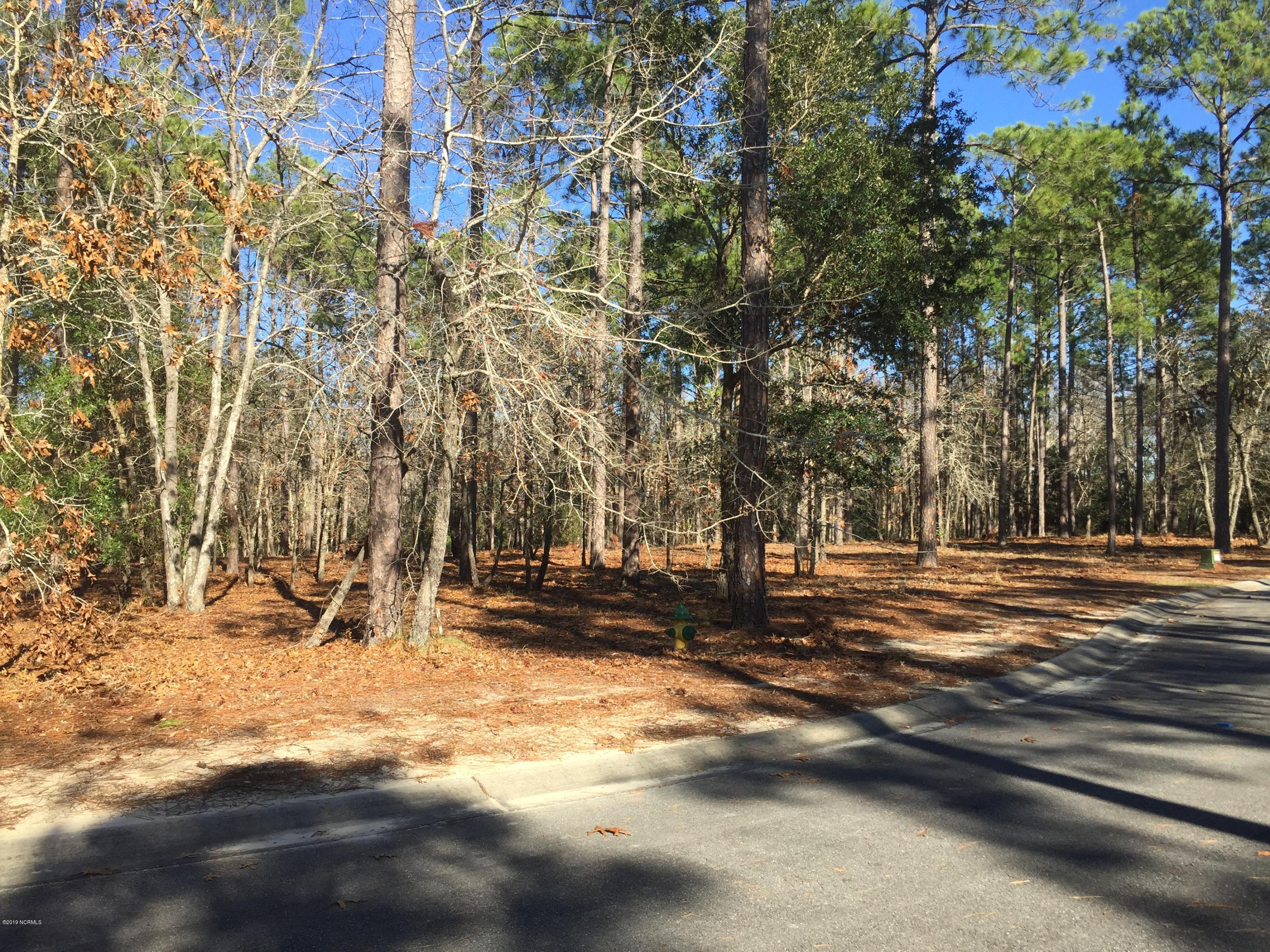568 Vela Path Southeast Bolivia, NC 28422 - Photo 2 of 13 IMG_7833