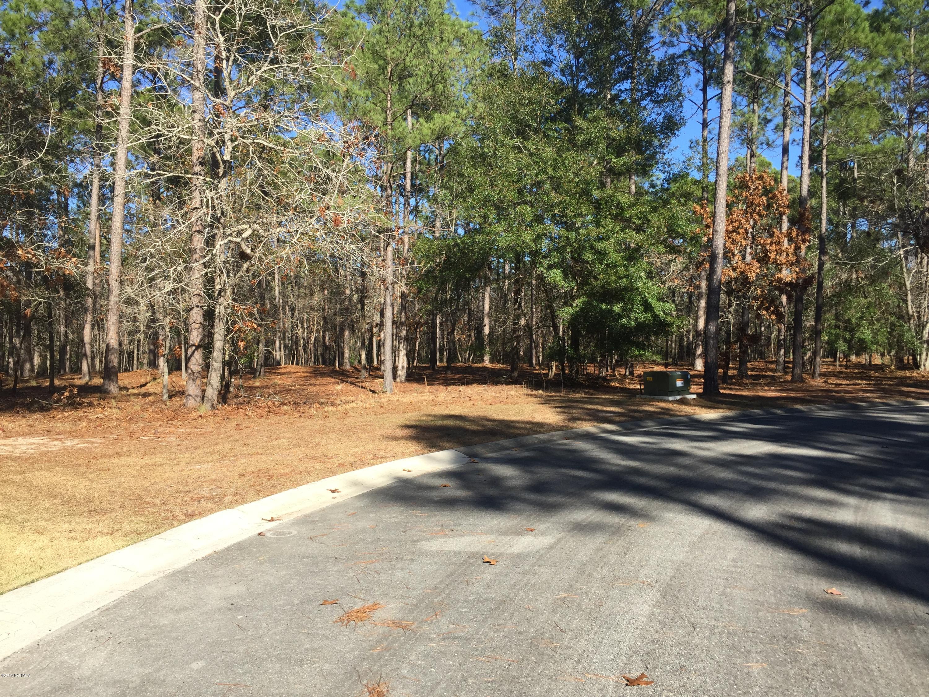568 Vela Path Southeast Bolivia, NC 28422 - Photo 4 of 13 IMG_7839
