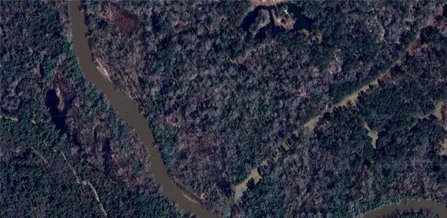 $199,000 | 0 23.92 Acres Section 40-5-7, Independence, LA 70443