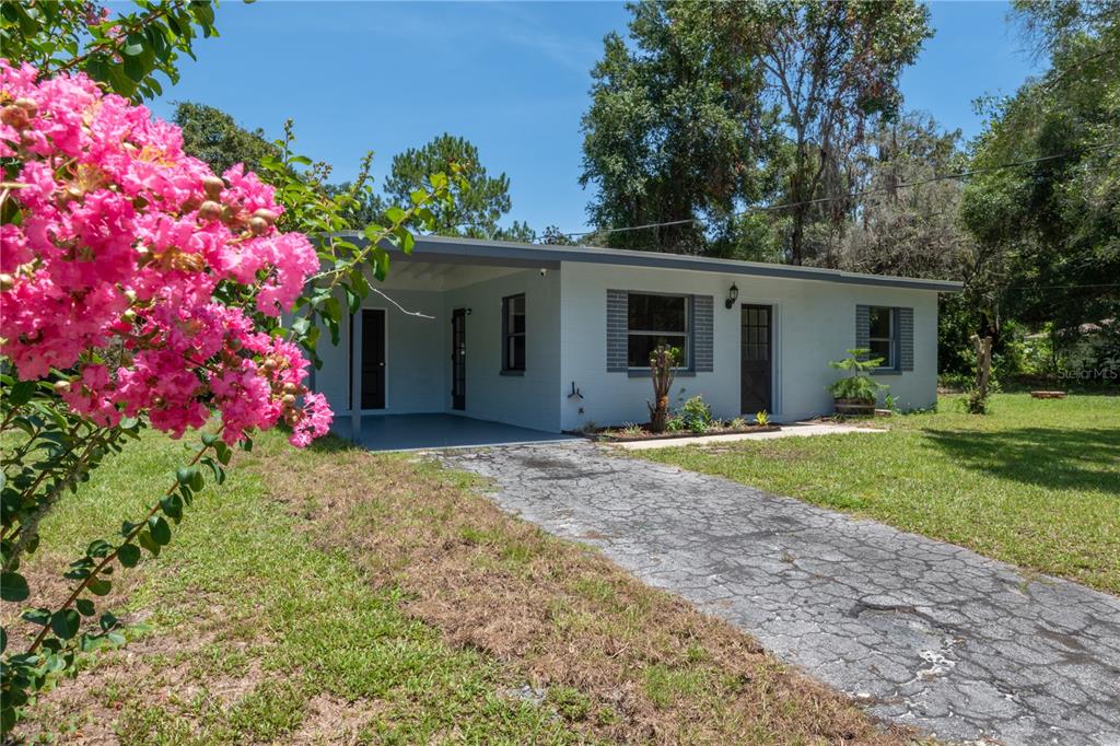19811 Seattle Road Spring Hill, FL 34610 - Photo 1 of 1 Gallery Image 1