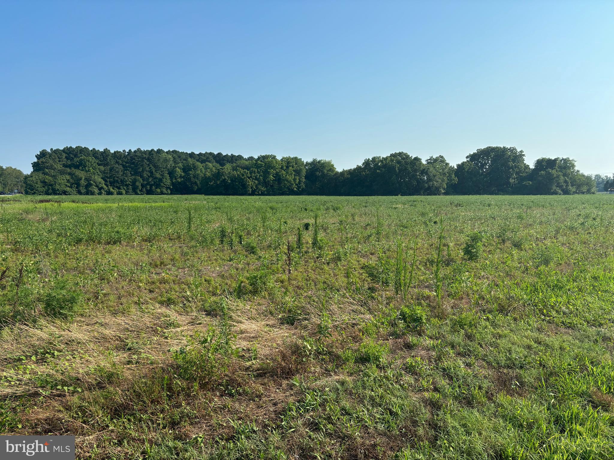 Old Trappe Road Oxford, MD 21654 - Photo 7 of 12 planted in soybeans this year